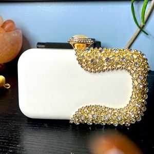 Classy Evening Bag